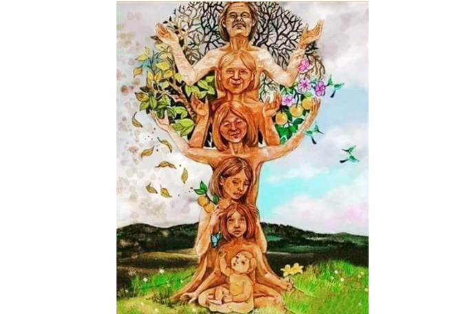 Curso Mihimi - ¿Quieres superar los patrones disfuncionales familiares y personales que están afectando tu vida actual?