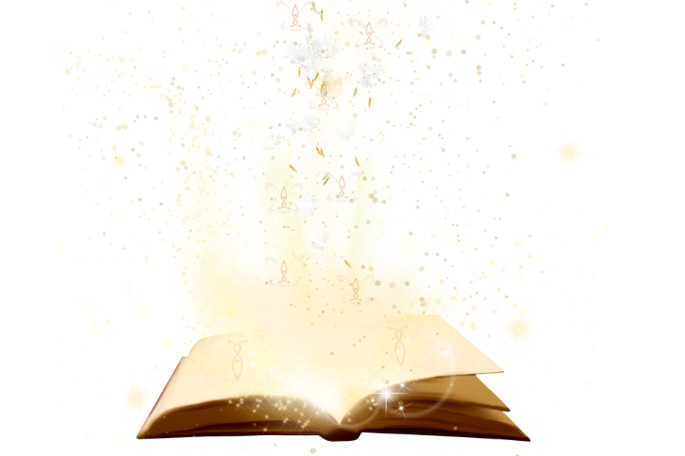 Curso Mihimi - ¿Existe un registro de percepciones, palabras, emociones y acciones en tu alma?