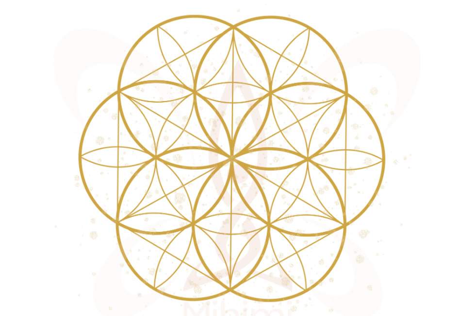 Curso Mihimi - ¿Existe un registro de percepciones, palabras, emociones y acciones en tu alma?